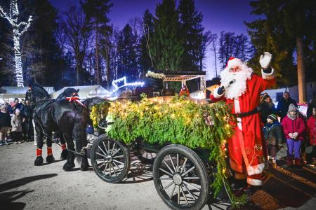 Božiček in žive jaslice (77)